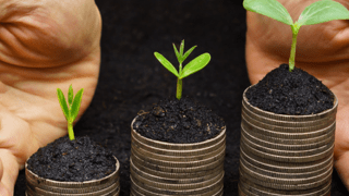  Hände umschliessen eine kleine Pflanze in der Erde